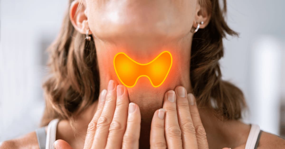 Thyroid gland illustration highlighting hypothyroidism effects on the body Woman touching her neck showing thyroid gland highlighted in orange to represent hypothyroidism